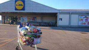 Utrinek zbiralne akcije v letu 2019.